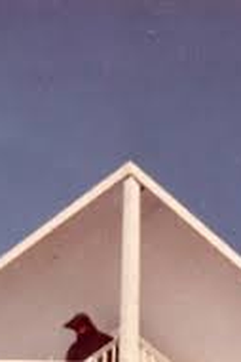 Poster de Curta Alternatim (1973)