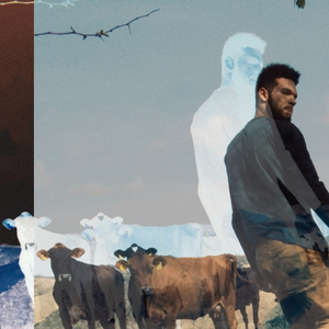 Foto de perfil de Bruno