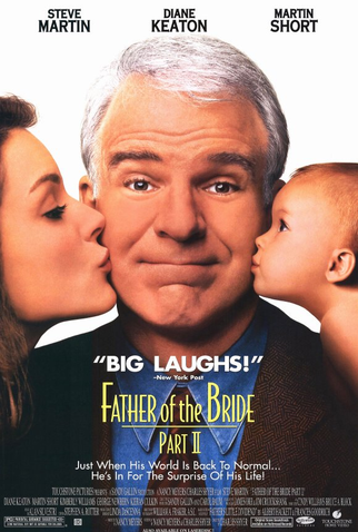 Poster 2 de Filme O Pai da Noiva 2 (1995)