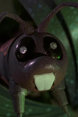 Primavera (Primavera)