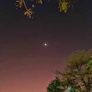 Foto de perfil de Cícero