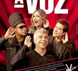 The Voice Brasil (1ª Temporada)