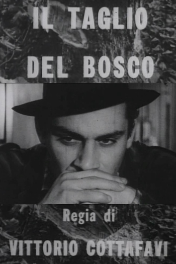 Poster de Filme Il Taglio Del Bosco (1963)
