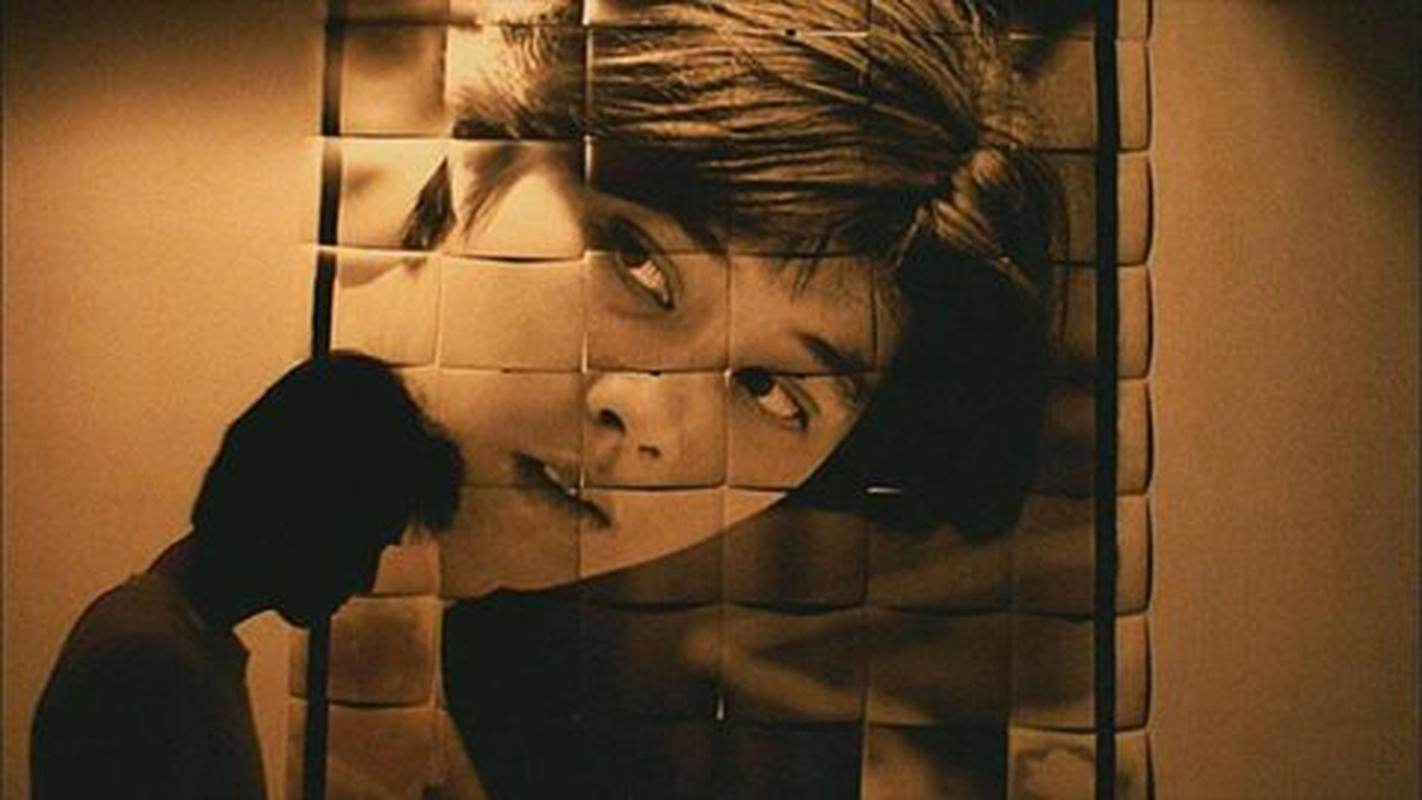 Matheus Accordi - Foto 5
