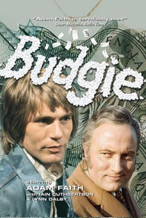 Budgie - Poster / Capa / Cartaz - Oficial 1