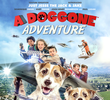 A Doggone Adventure