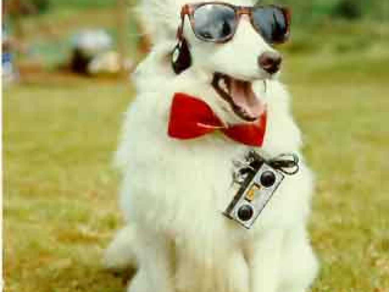 Foto 24 de Hum Aapke Hain Koun...!