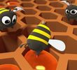 Honey Bees!