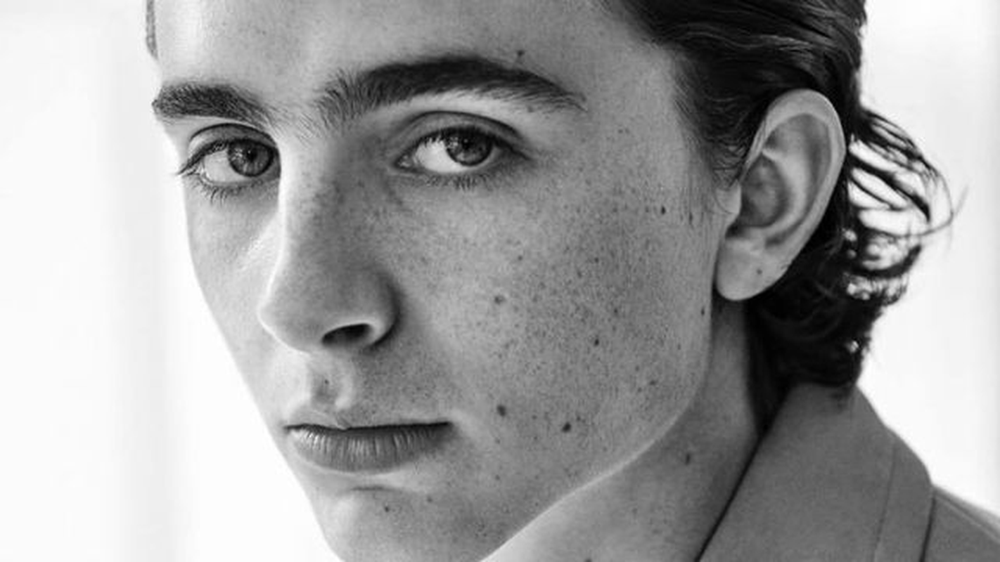Timothée Chalamet - Foto 12