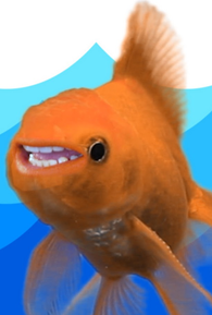 HeckleFish Moriarti