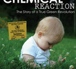 A Chemical Reaction