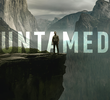 UNTAMED