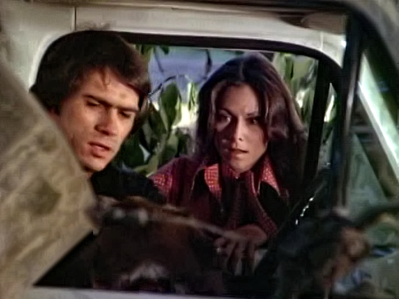 Foto 5 de As Panteras