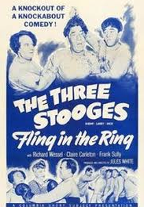 Três sujeitos pancadas (Fling in the ring)