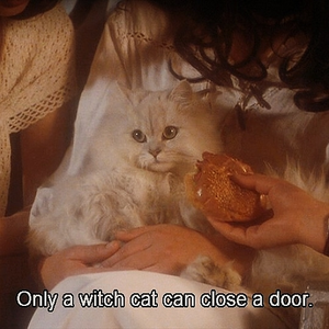 Foto de perfil de Milena