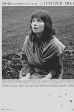 Quando Éramos Bruxas (The Juniper Tree)