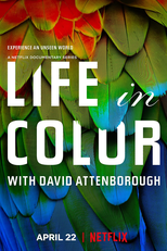 A Vida em Cores com David Attenborough (1ª Temporada) (Life In Colour With David Attenborough (Season 1))