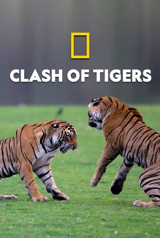 Poster 1 de TV Fúria de Tigres (2018)