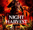 Night Harvest