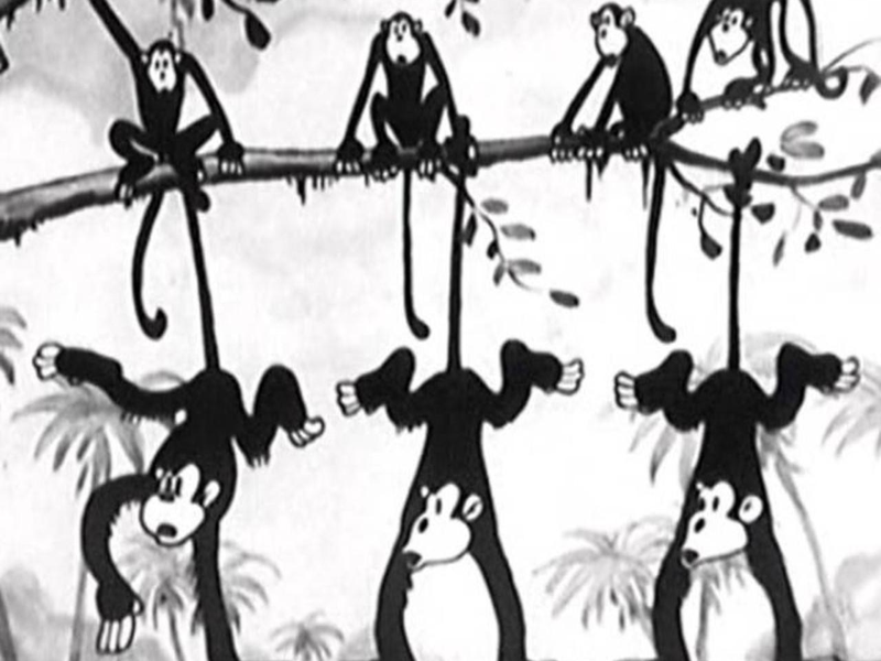 Foto 2 de Melodia dos Macacos