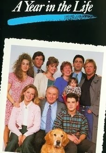 A Year in the Life (A Year in the Life)