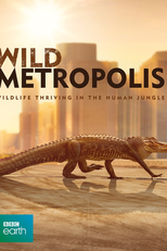 Cidades: A Vida Selvagem (Wild Metropolis)