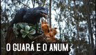 O Guará e o Anum | Trailer (2019)