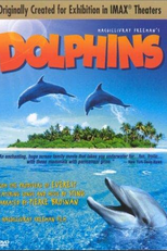 Dolphins (Dolphins)