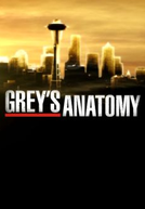 Grey's Anatomy: Seattle Grace On Call (Grey's Anatomy: Seattle Grace On Call)