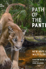 O Caminho da Pantera (Path of the Panther: New Hope for Wild Florida)