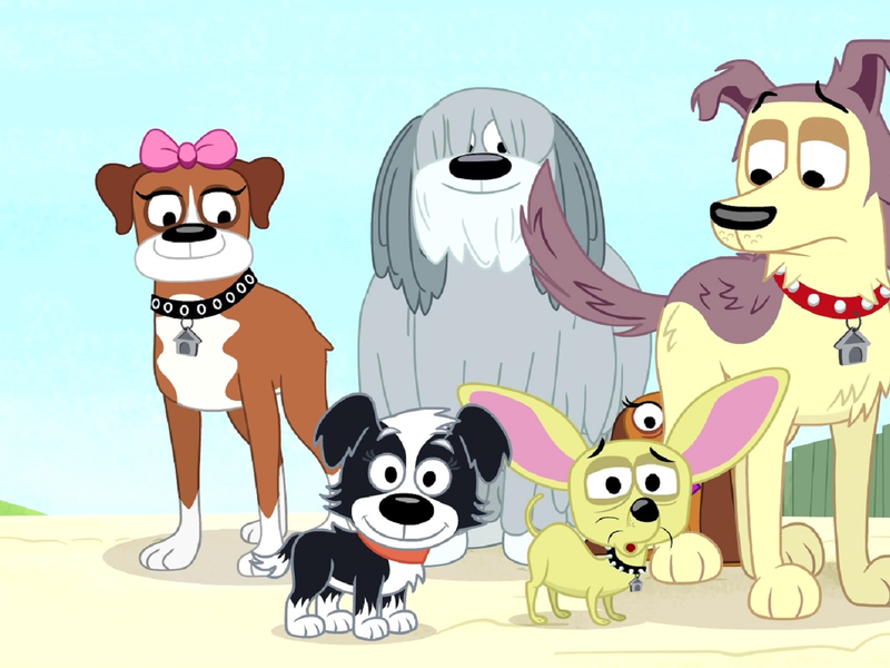 Foto 1 de Cãezinhos do Canil