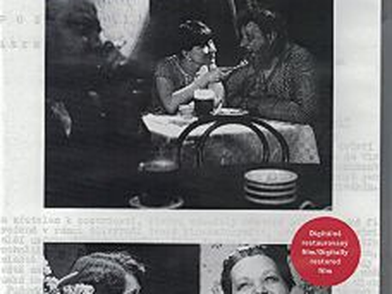 Foto 7 de Assim é a Vida