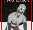 The Rake Investigation