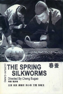 The Spring Silkworms - Poster / Capa / Cartaz - Oficial 1