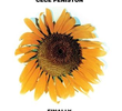 CeCe Peniston: Finally