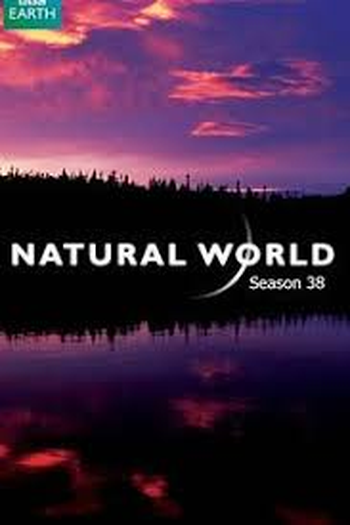 Poster de Série The BBC Natural World: Powered Eagles (2019)