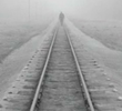 A Trip Across Misty Meadows