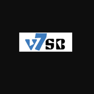 Foto de perfil de V7sb art