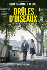 Um Segredo em Paris (Drôles d'oiseaux)