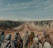 The Promised Land