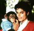 Michael Jackson and Bubbles: The Untold Story