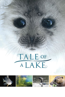 Tale of a Lake - Poster / Capa / Cartaz - Oficial 2