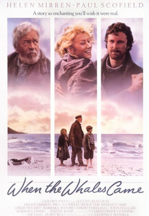 Salvem as Baleias (When the Whales Came)