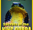 Cobra Real