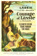 A Coragem de Lassie (Courage of Lassie)