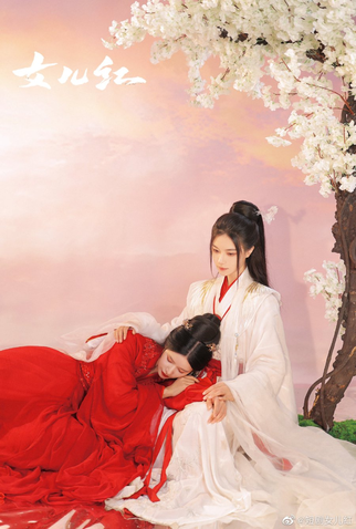 Poster 3 de Série Nv Er Hong (2023)