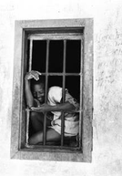 Holocausto Brasileiro: Manicômio de Barbacena