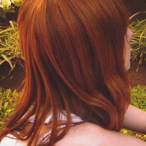 Foto de perfil de Sabiá