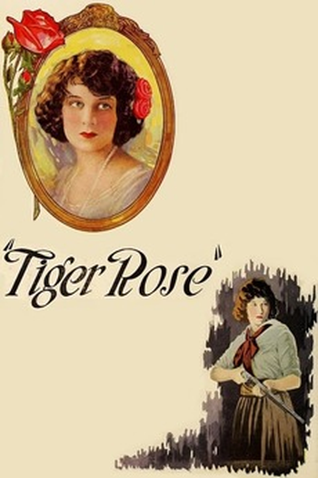 Poster de Filme Tiger Rose (1923)
