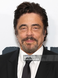 Benicio Del Toro